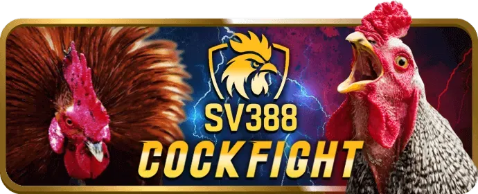 Cá cược Bóng rổ b888bet